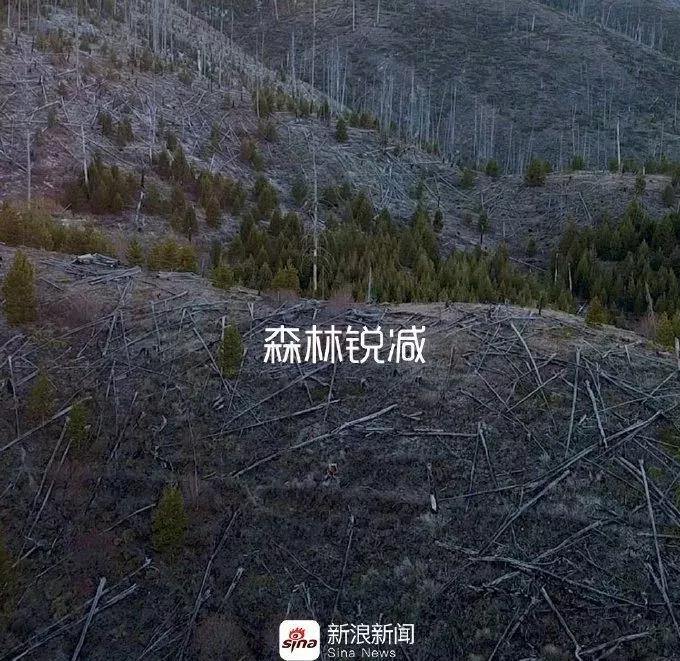 sina-earth day2019-1